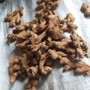 Ginger