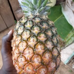Pineapple